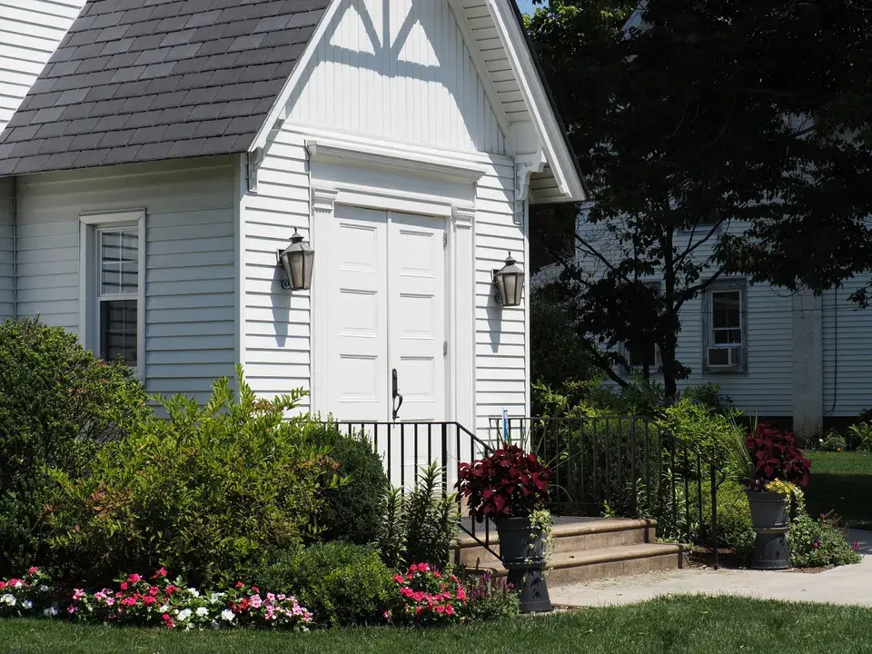 mold removal La Plata